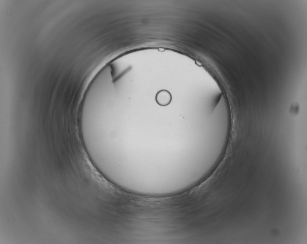 X0000114441284200911131507