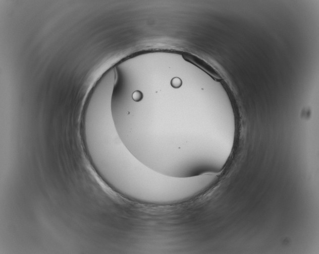 X0000114441285200911131507