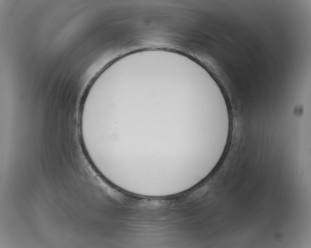 X0000114441286200911131507