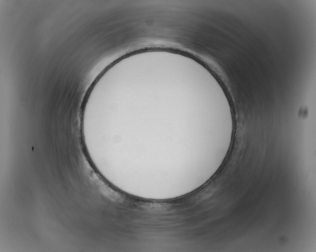 X0000114441287200911131507