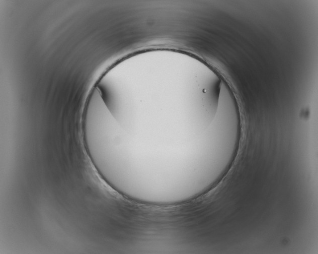 X0000114441288200911131507