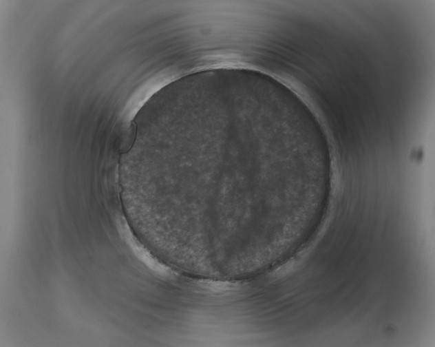 X0000114441289200911131507