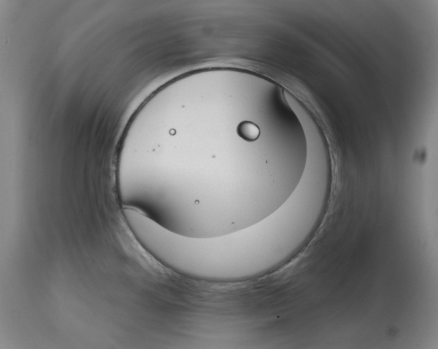 X0000114441292200911131507