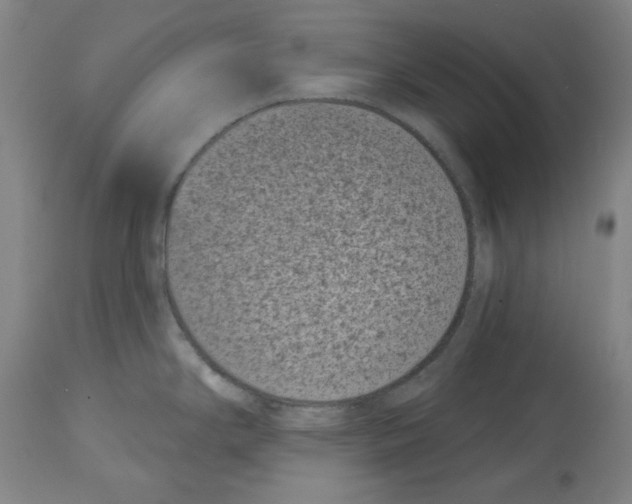 X0000114441294200911131507