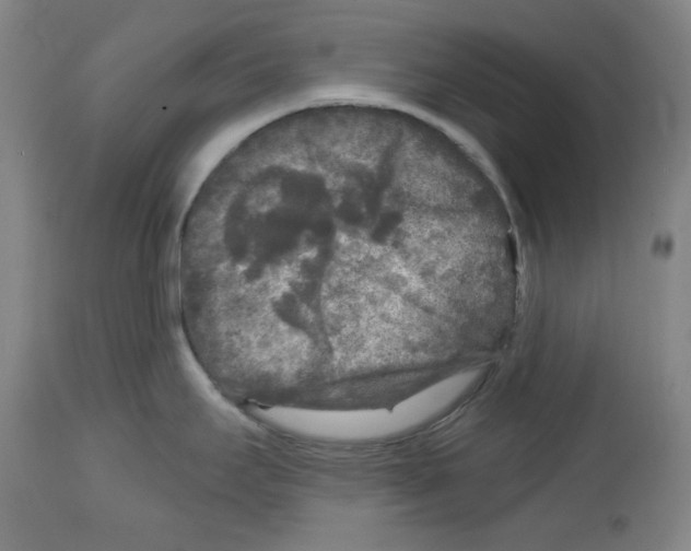 X0000114441295200911131507