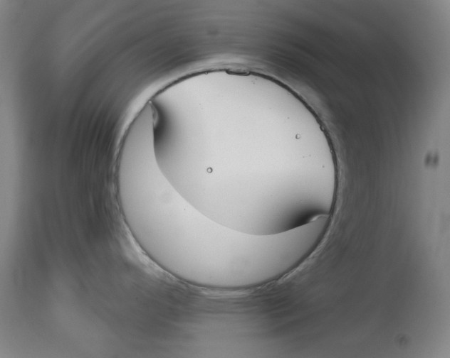 X0000114441296200911131507