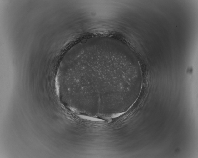 X0000114441297200911131506