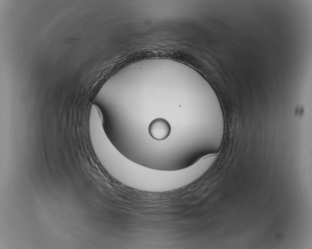 X0000114441298200911131506