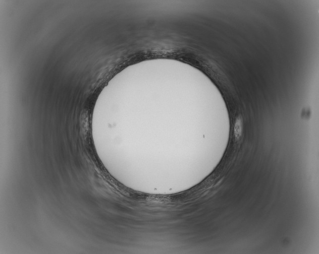 X0000114441299200911131506