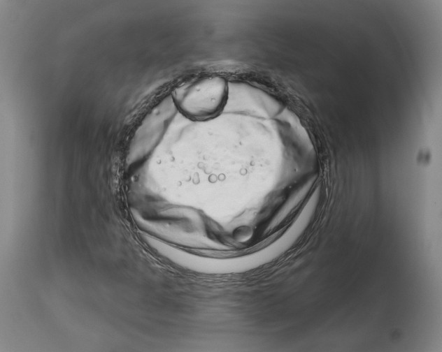 X0000114441301200911131506