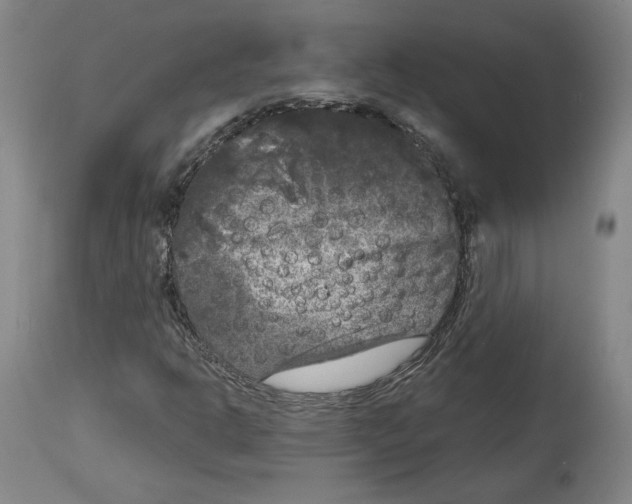 X0000114441302200911131506