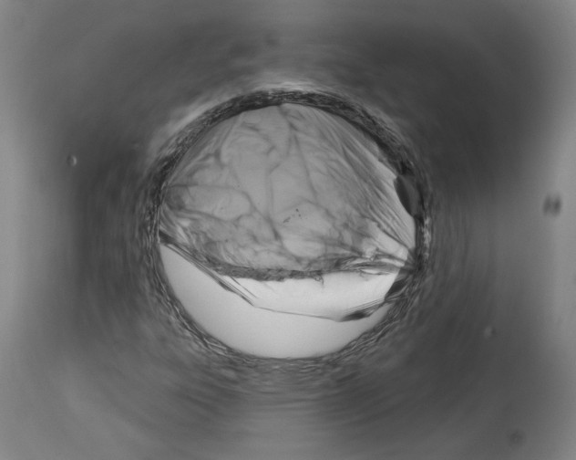 X0000114441303200911131506