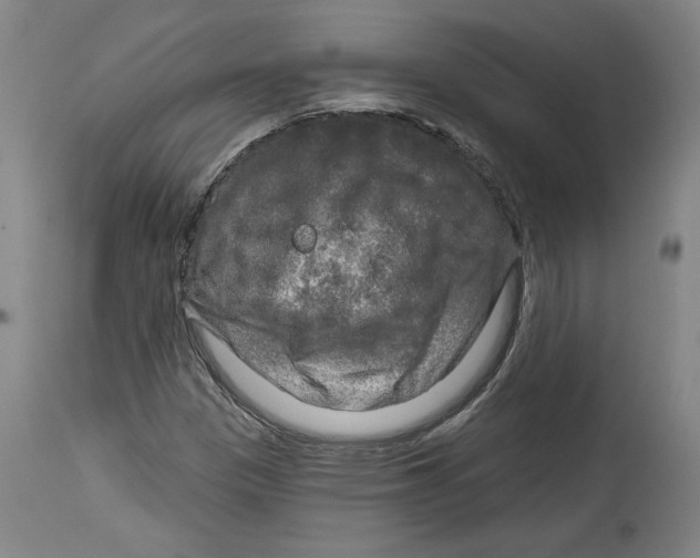 X0000114441305200911131506