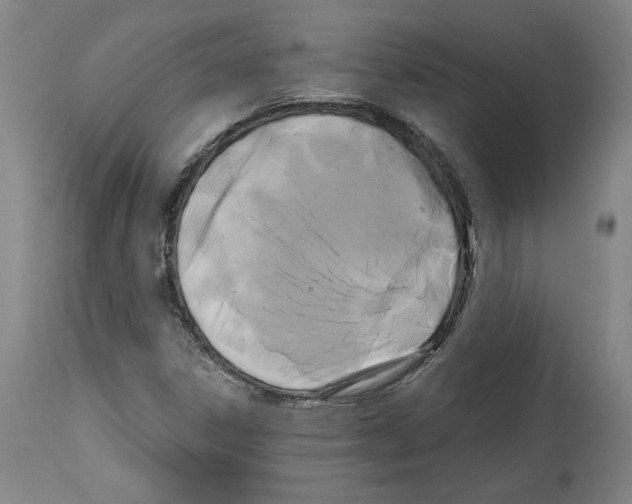 X0000114441306200911131506