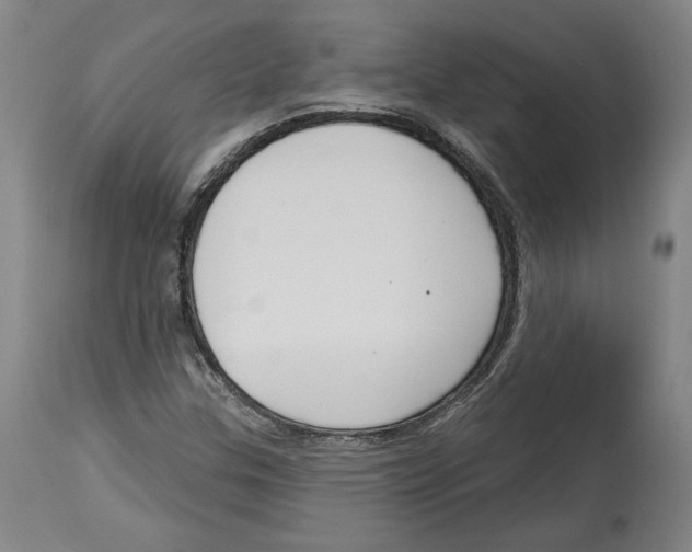 X0000114441307200911131506