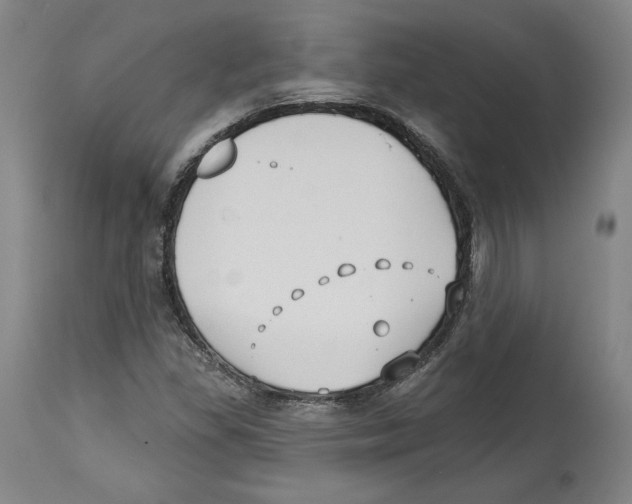 X0000114441309200911131507