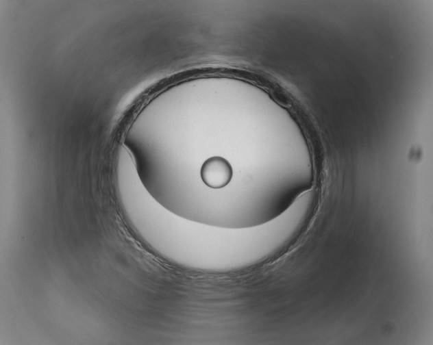 X0000114441310200911131507