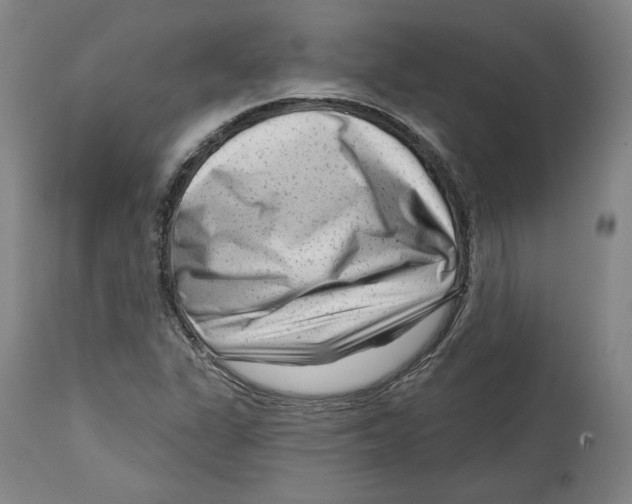 X0000114441311200911131507