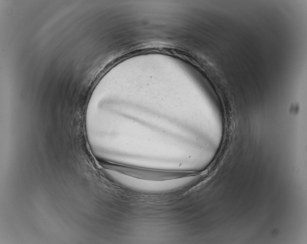 X0000114441313200911131507