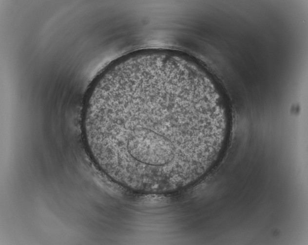 X0000114441314200911131507