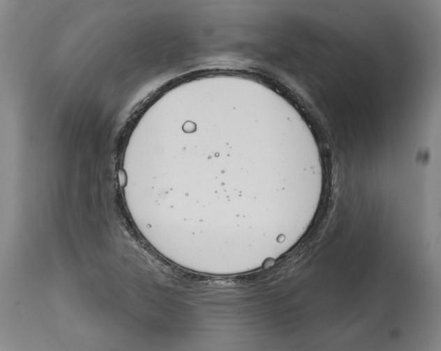 X0000114441315200911131507