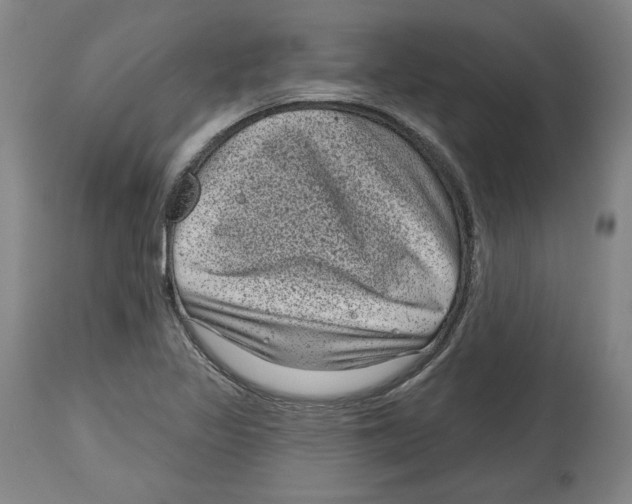 X0000114441317200911131507