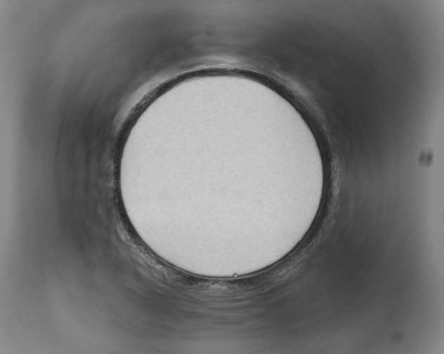 X0000114441318200911131507