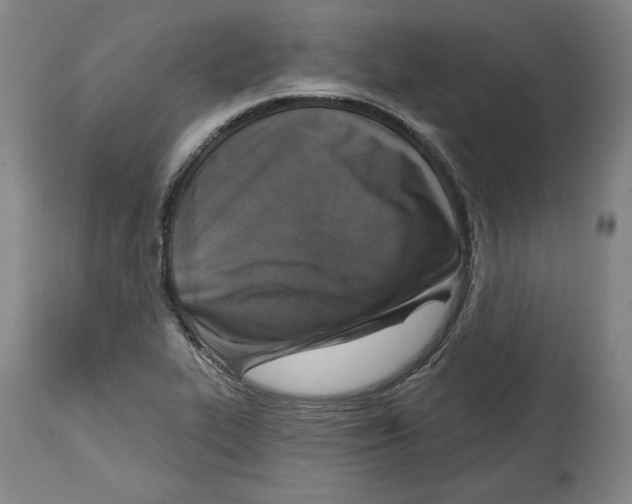 X0000114441319200911131507