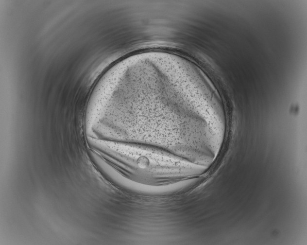 X0000114441321200911131507