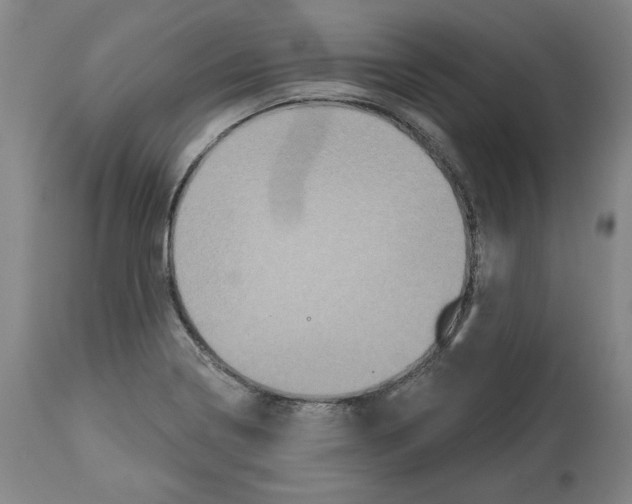 X0000114441322200911131507