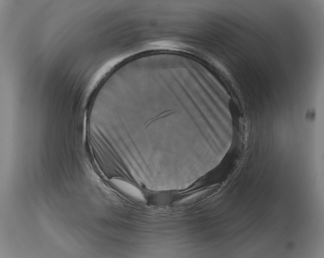 X0000114441323200911131507