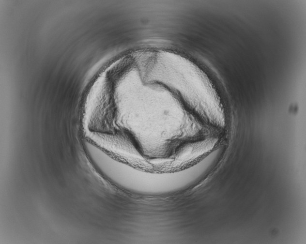 X0000114441325200911131507