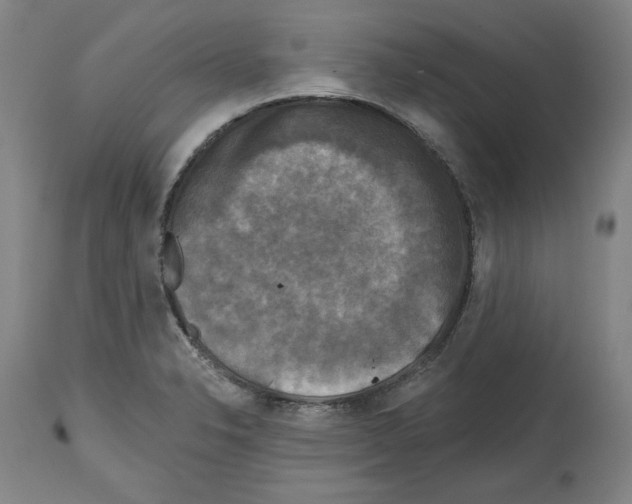 X0000114441326200911131507