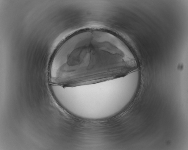 X0000114441327200911131507