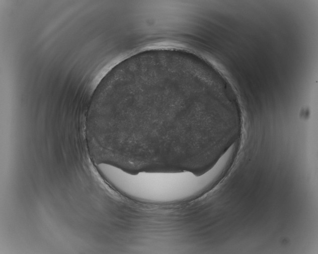 X0000114441329200911131507