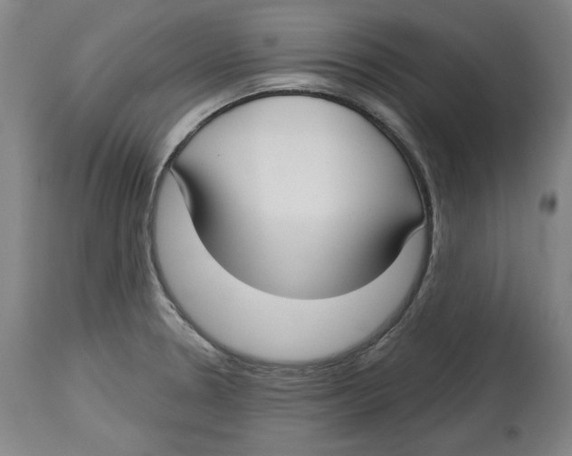 X0000114441330200911131507