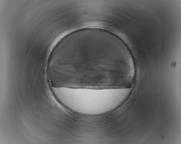 X0000114441331200911131507