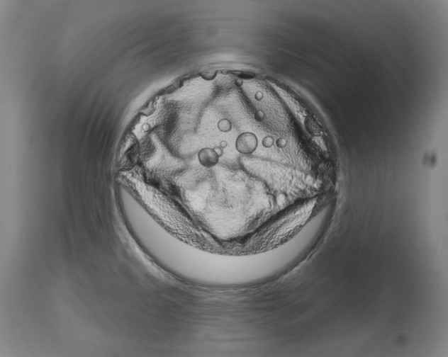 X0000114441333200911131507