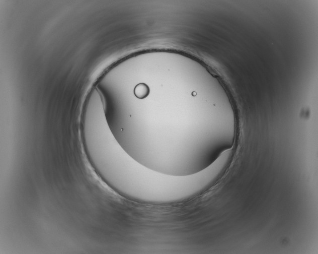 X0000114441334200911131507