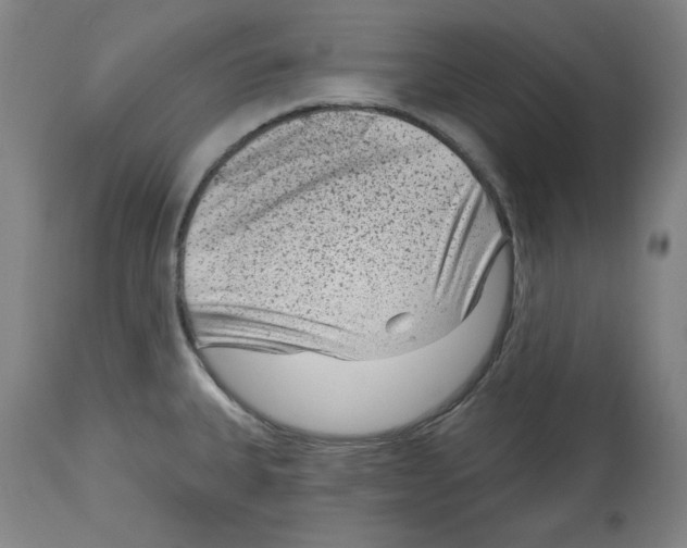 X0000114441335200911131507