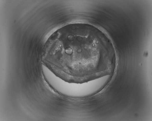 X0000114441337200911131507