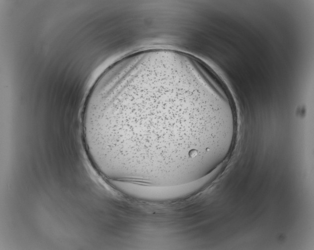 X0000114441341200911131507