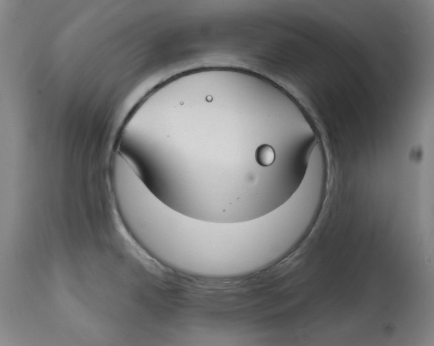 X0000114441342200911131507