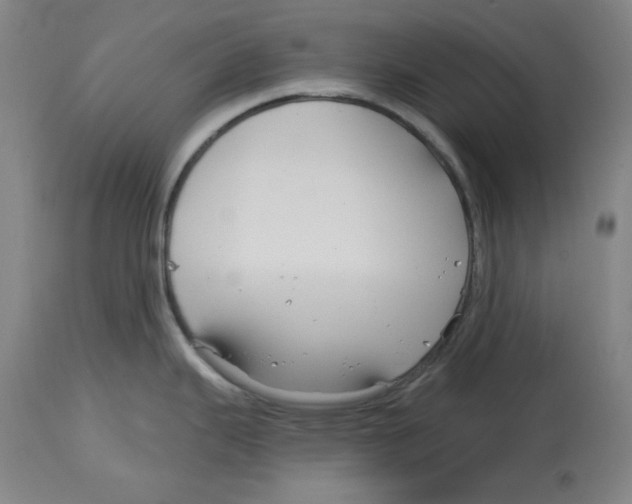 X0000114441343200911131507