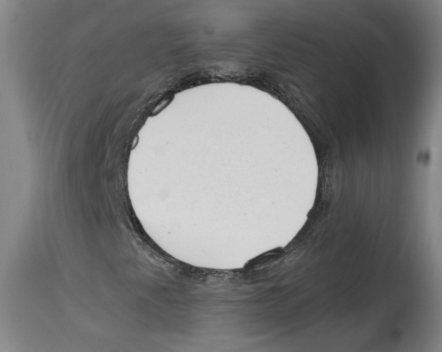 X0000114441345200911131506