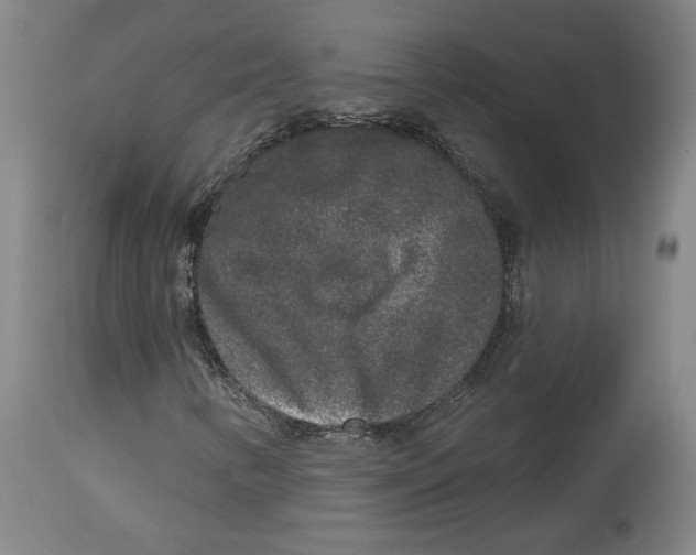 X0000114441346200911131506