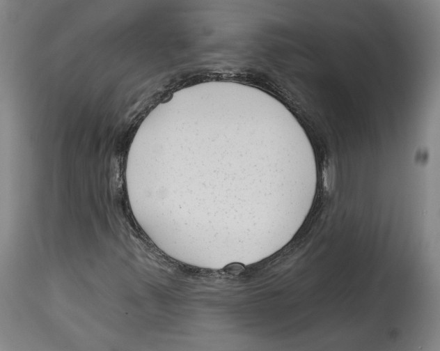 X0000114441347200911131506