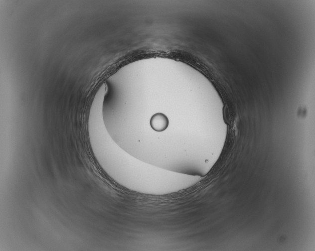 X0000114441348200911131506