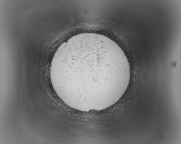 X0000114441349200911131506