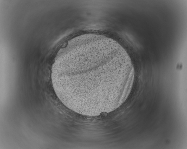 X0000114441350200911131506